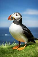 AI generated Puffin bird on a green grass patch. AI Generated photo