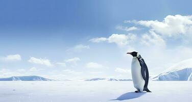 AI generated Penguin standing in Antarctica looking into the blue sky. AI Generated photo