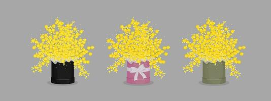 A set of three flower boxes. Bouquets with mimosa vector