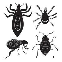 Insect parasites, head louse, pubic louse, flea, bed bug. Set of simple icons in black silhouette. Vector illustration isolated on white background. Vector illustration