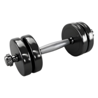 AI generated Workout Dumbbells on Transparent background - Ai Generated png