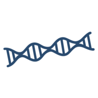 Illustration von DNA Rahmen png