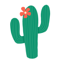 Cute cactus  illustration png