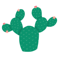 Green cactus illustration png