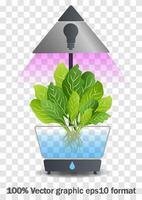 Portable hydroponic aeroponic system for eco-friendly growing of green lettuce, vegetables and herbs. With automatic watering system and purple phyto lighting. Phytolamp vector