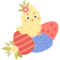 Cute Easter chick with eggs png