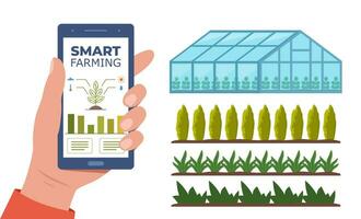 Smart farming, futuristic technologies in farm industry. Smartphone with app for control plants growing, greenhouse, Beds with agricultural crops. Vector illustration.