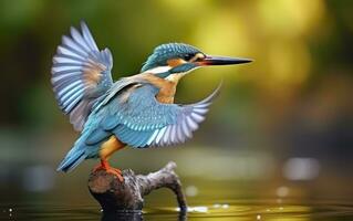 AI generated The common kingfisher wetlands bird colored feathers from different birds. Generative AI photo