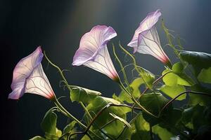 AI generated Morning Glory vine unfurling its delicate petals in the morning light. AI Generated photo