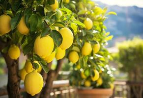 ai generado limones creciente en un soleado jardín en amalfi costa en Italia. ai generado foto