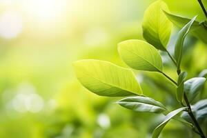 AI generated Nature of green leaf in a garden in summer under sunlight. Spring background. AI Generated photo