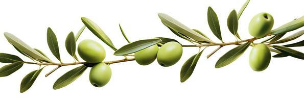 AI generated Olive tree branch, green olives and leaves on white background. AI Generated. photo