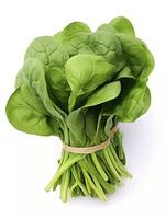 AI generated Bunch of spinach isolated on white background. AI Generated photo