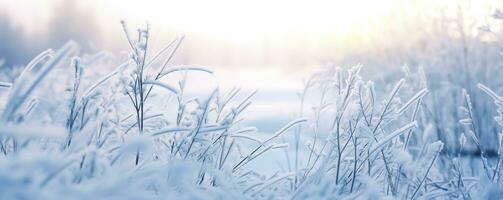 AI generated Frozen snowy grass, winter natural abstract background. beautiful winter landscape. AI Generated photo