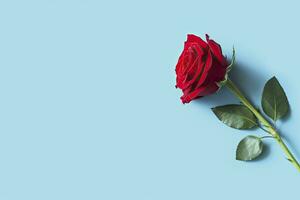 AI generated Red rose flower on blue background. Romantic Valentine's holiday concept. AI Generated photo