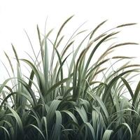 AI generated Realistic grass in close up photo