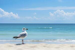 AI generated Seagull on the beach under blue sky. photo