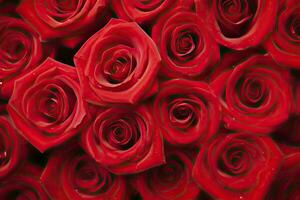 AI generated Red Rose Background for Valentine's Day. AI Generated photo