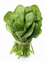 AI generated Bunch of spinach isolated on white background. AI Generated photo