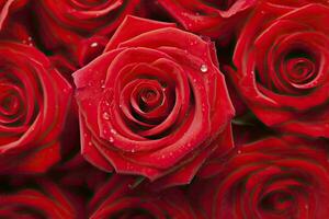 AI generated Red Rose Background for Valentine's Day. AI Generated photo