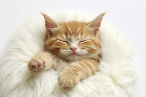 AI generated Red kitten, cat sleeping cute on white fur. Generative AI photo