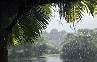 ai generado lluvia en el zona tropical durante el bajo temporada o monzón estación. gotas de lluvia en un jardín. generativo ai foto