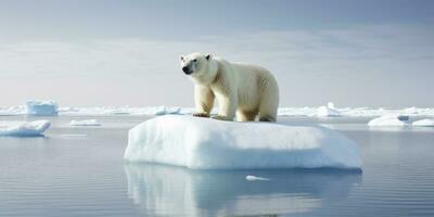 AI generated Polar bear on ice floe. Melting iceberg and global warming. AI Generated photo