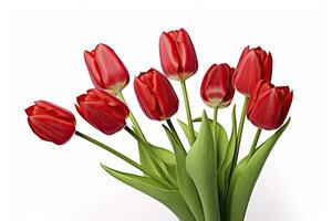 AI generated Red tulips isolated on white background. AI Generated photo