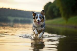 ai generado el perro carreras en el agua. generativo ai foto