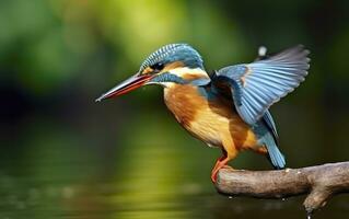 ai generado el común martín pescador humedales pájaro de colores plumas desde diferente aves. generativo ai foto