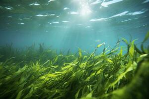 AI generated Underwater view of a group of seabed with green seagrass. AI Generated photo