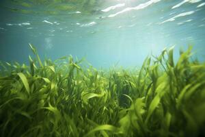 AI generated Underwater view of a group of seabed with green seagrass. AI Generated photo