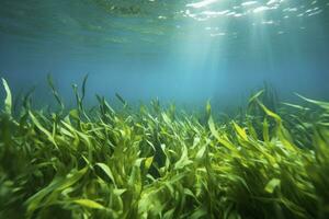 AI generated Underwater view of a group of seabed with green seagrass. AI Generated photo