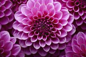 AI generated Dahlia flower background.  AI Generated. photo