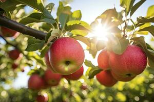 ai generado cerca arriba manzana Fruta en árbol. ai generado foto