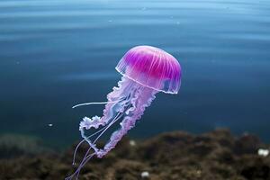 ai generado color de malva aguijón púrpura Medusa. ai generado. foto