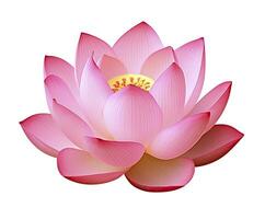 AI generated Lotus flower on white background. AI Generated photo