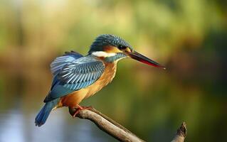 ai generado el común martín pescador humedales pájaro de colores plumas desde diferente aves. generativo ai foto