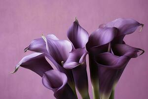 AI generated Bouquet of purple calla lilies against purple background.AI Generated photo