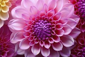 AI generated Dahlia flower background.  AI Generated. photo