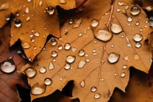 AI generated Close up of fallen leaves on ground in autumn covered in raindrops. Generative AI. photo