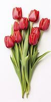 AI generated Red tulips isolated on white background. AI Generated photo