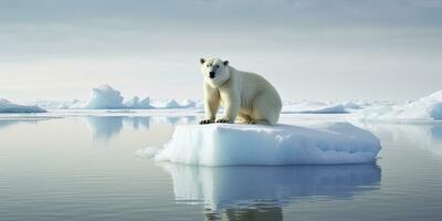 AI generated Polar bear on ice floe. Melting iceberg and global warming. AI Generated photo