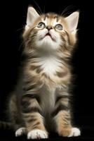 AI generated Playful funny kitten looking up. AI Generated photo