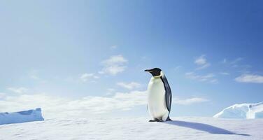 AI generated Penguin standing in Antarctica looking into the blue sky. AI Generated photo