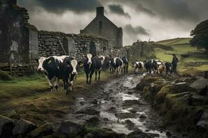 AI generated A group of cows walking along a dirt road in Cumbria, Ireland cattle farm with cow family portrait, AI Generated photo