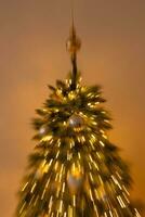 christmas tree in germany photo