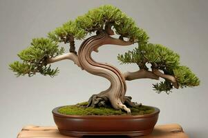 ai generado japonés enebro bonsai en un cerámico maceta en gris antecedentes. foto