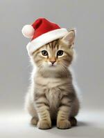 ai generado linda gatito en Papa Noel sombrero fondo de pantalla foto