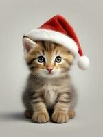 AI generated Cute Kitten on Santa Hat Wallpaper photo